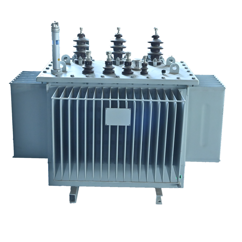 S22-M Oil-immersed Power Transformer