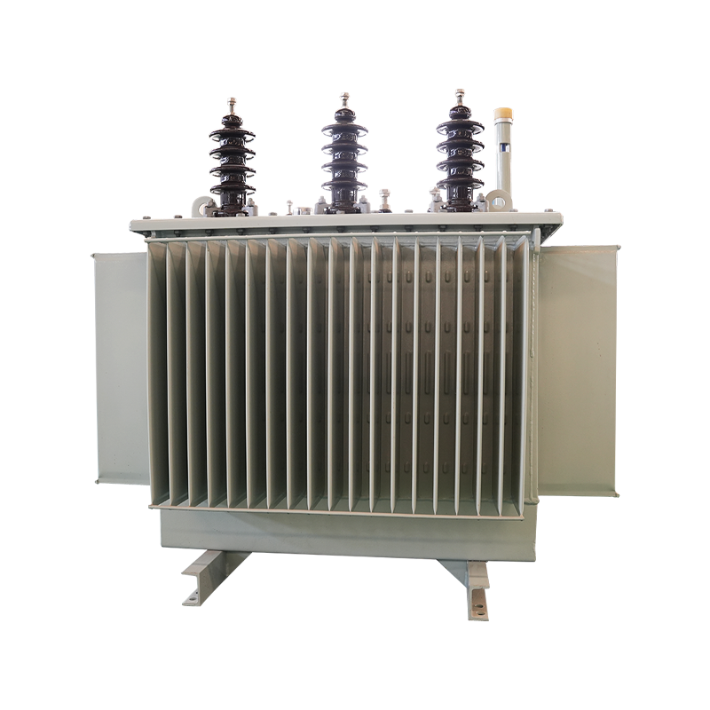 S22-M Oil-immersed Power Transformer
