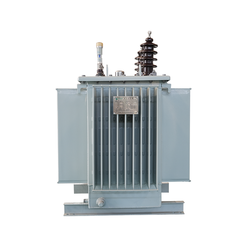 S22-M Oil-immersed Power Transformer